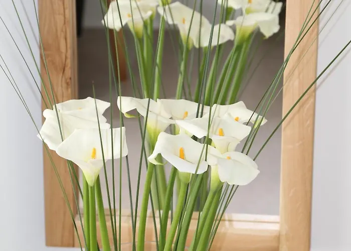 Camelia 2 - Psarou View - Private Pool And Jacuzzi Tatil Evi *