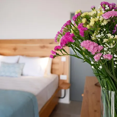 Holiday home Camelia 2 - Psarou View - Private Pool And Jacuzzi *